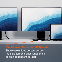 2-in-1 USB-C Hub (Dual HDMI)